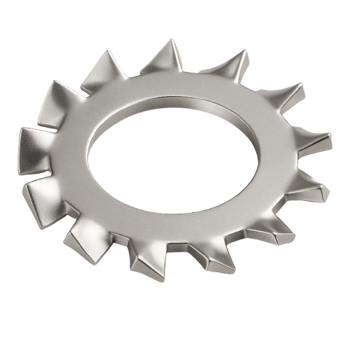 Lock Washer External Tooth Stainless Steel #8 * 3/8 OD